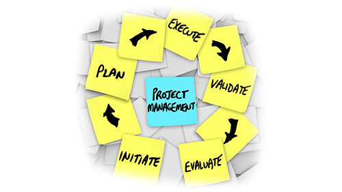 Software Development